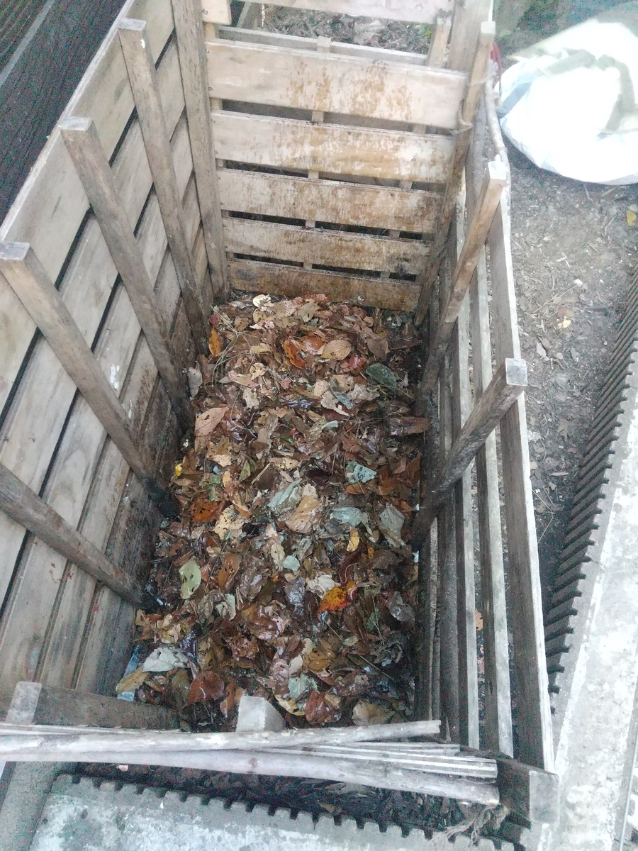 f:id:Angietsu:20211129143730j:plain