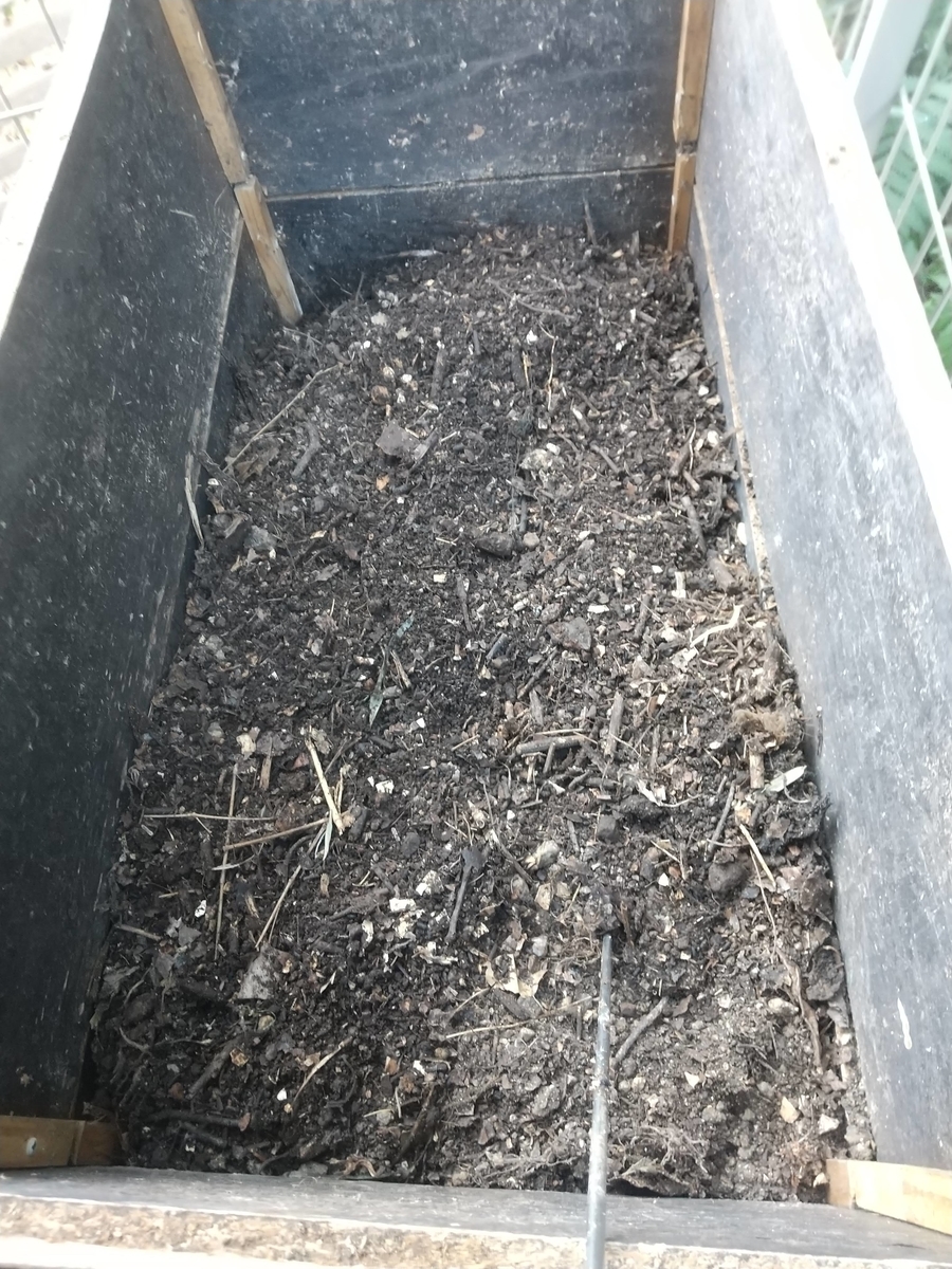 f:id:Angietsu:20211208144354j:plain