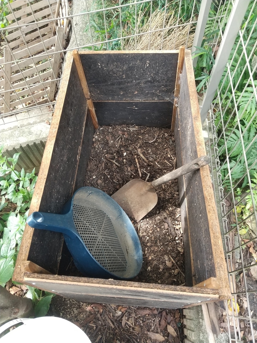 f:id:Angietsu:20211208144824j:plain