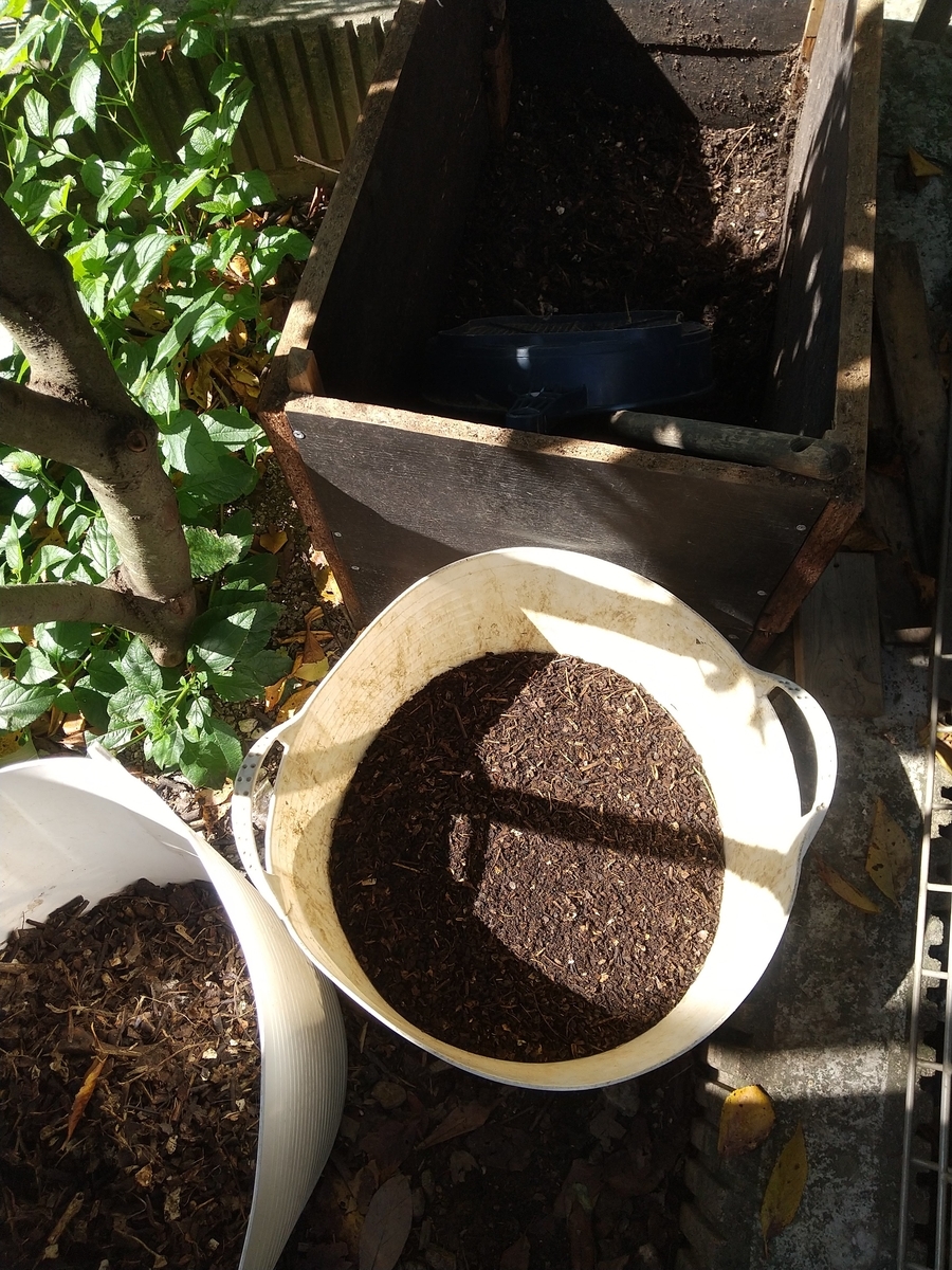 f:id:Angietsu:20211208144907j:plain