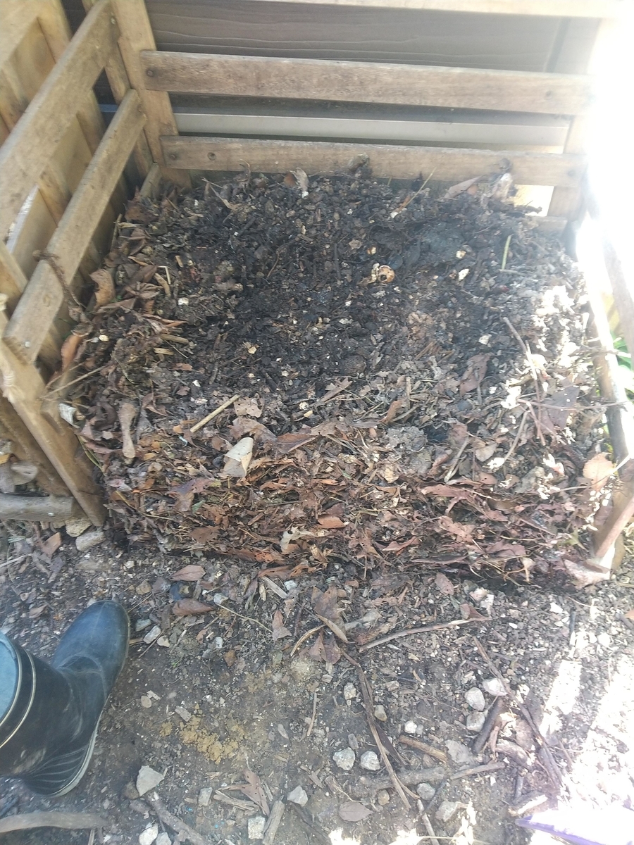 f:id:Angietsu:20211208145239j:plain