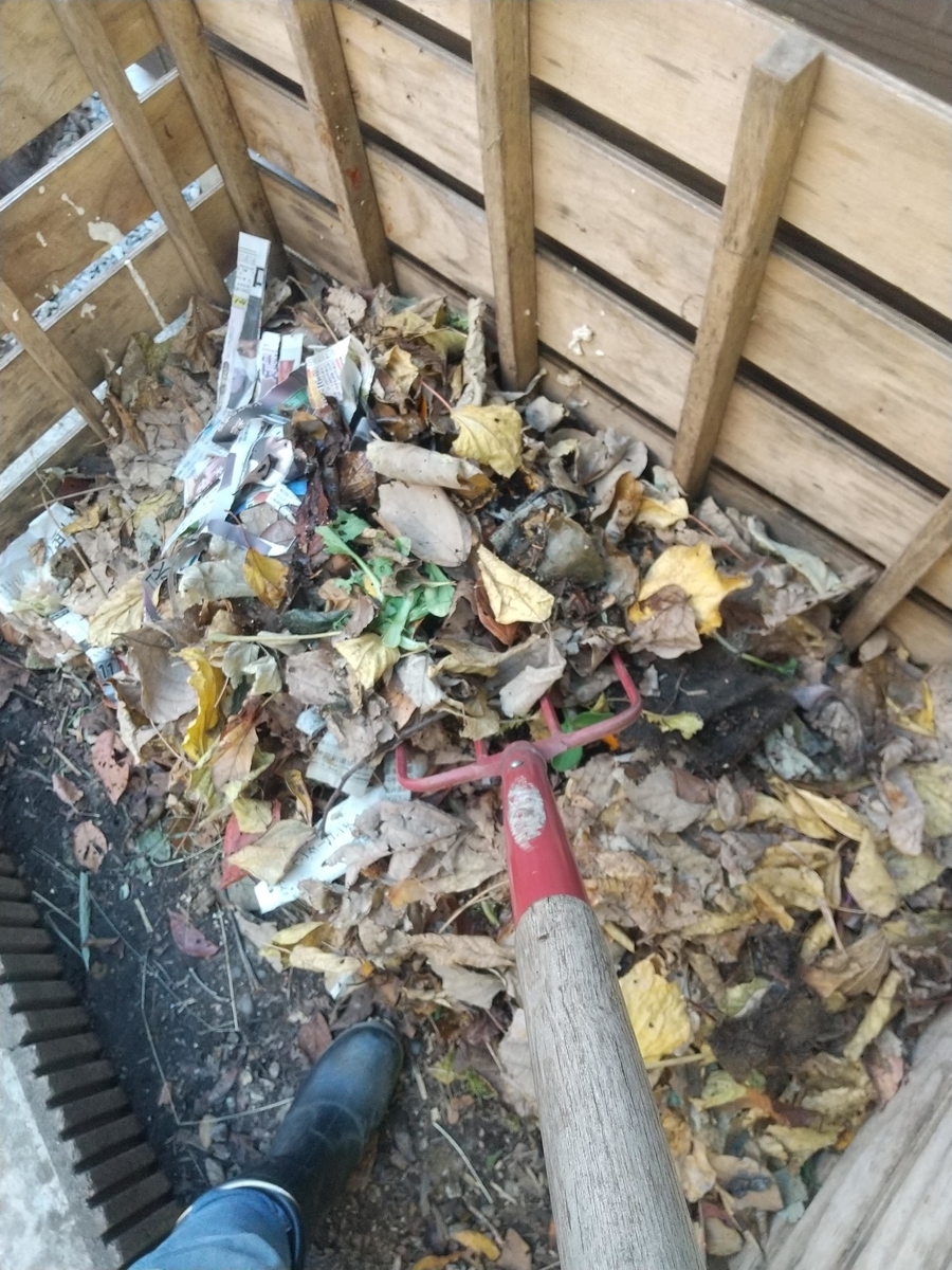 f:id:Angietsu:20211208145505j:plain