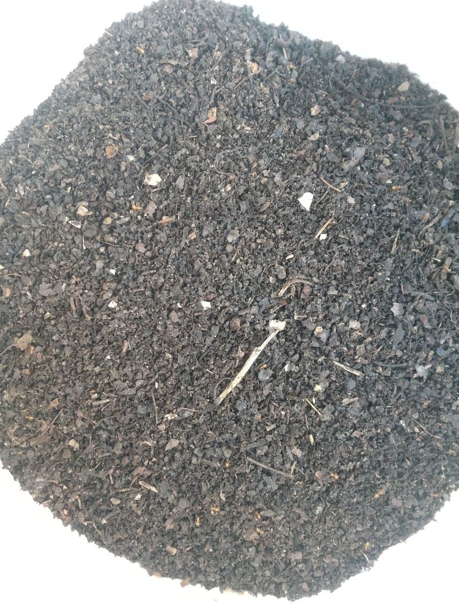 f:id:Angietsu:20211208150621j:plain