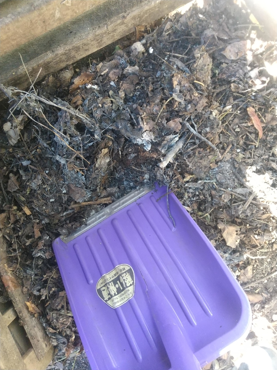 f:id:Angietsu:20211208190026j:plain