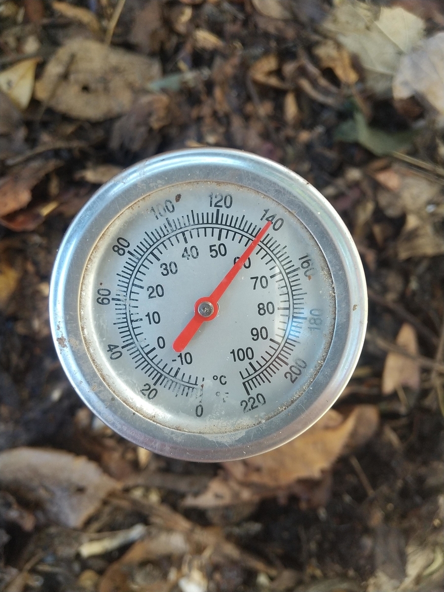 f:id:Angietsu:20220112150425j:plain