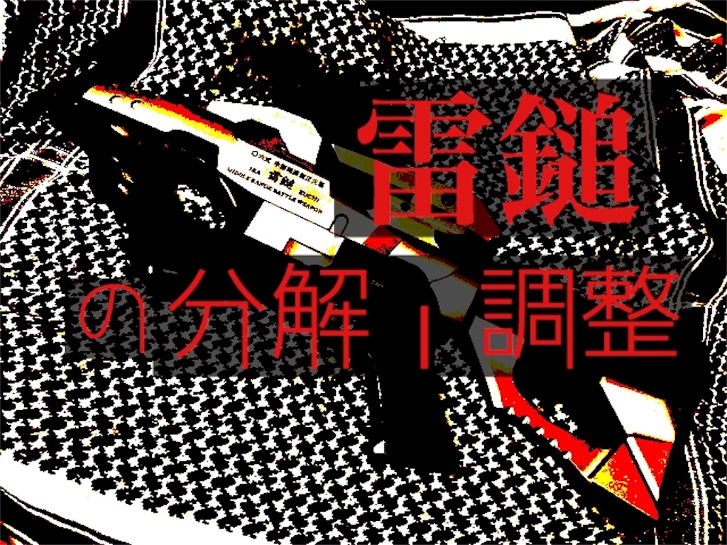 f:id:Aniki_the_power:20190317043523j:image