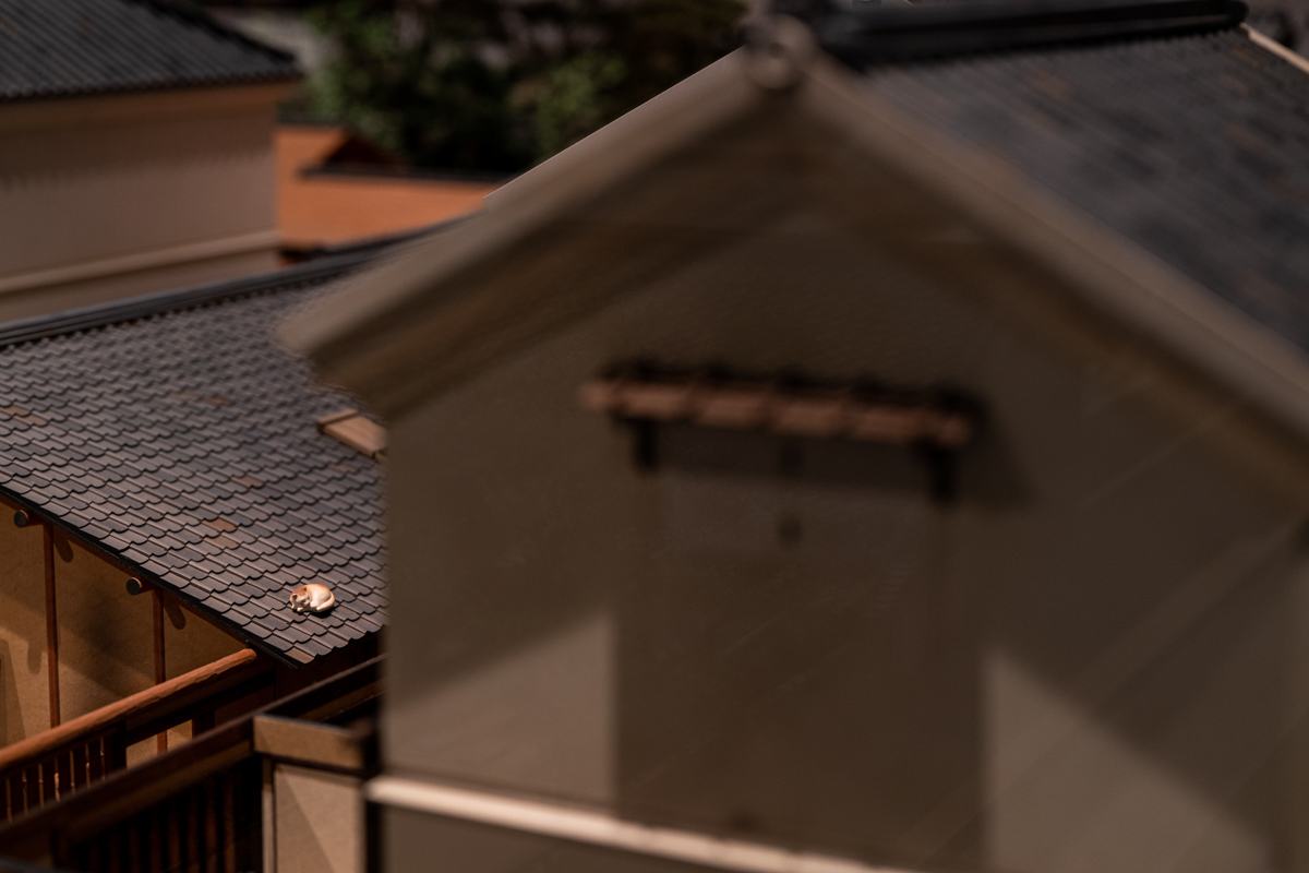 f:id:AnimalCrymaxxx:20190715213955j:plain f:id:AnimalCrymaxxx:20190715213955j:plain
