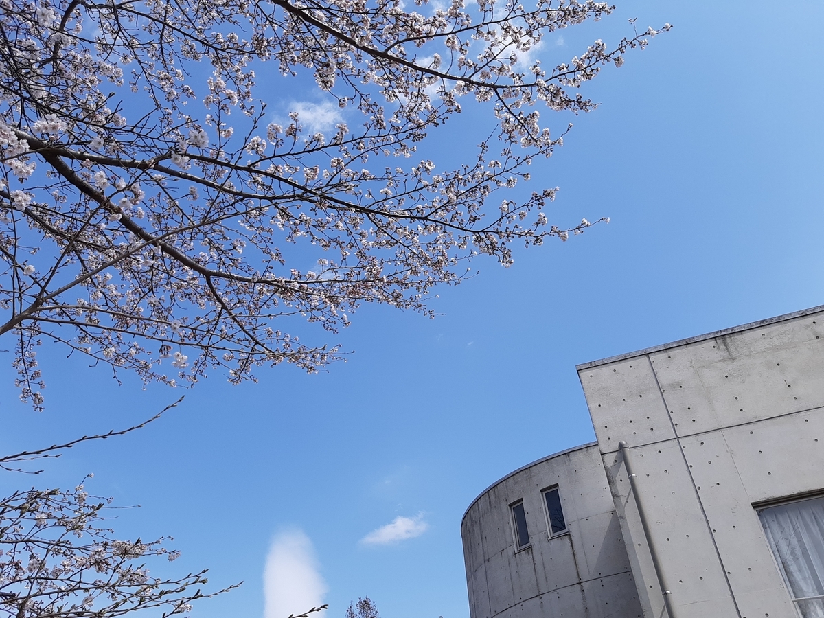 f:id:Anko_nasubi:20220403221814j:plain