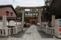 [京都][桜][神社]