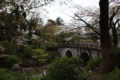 [京都][桜][神社]