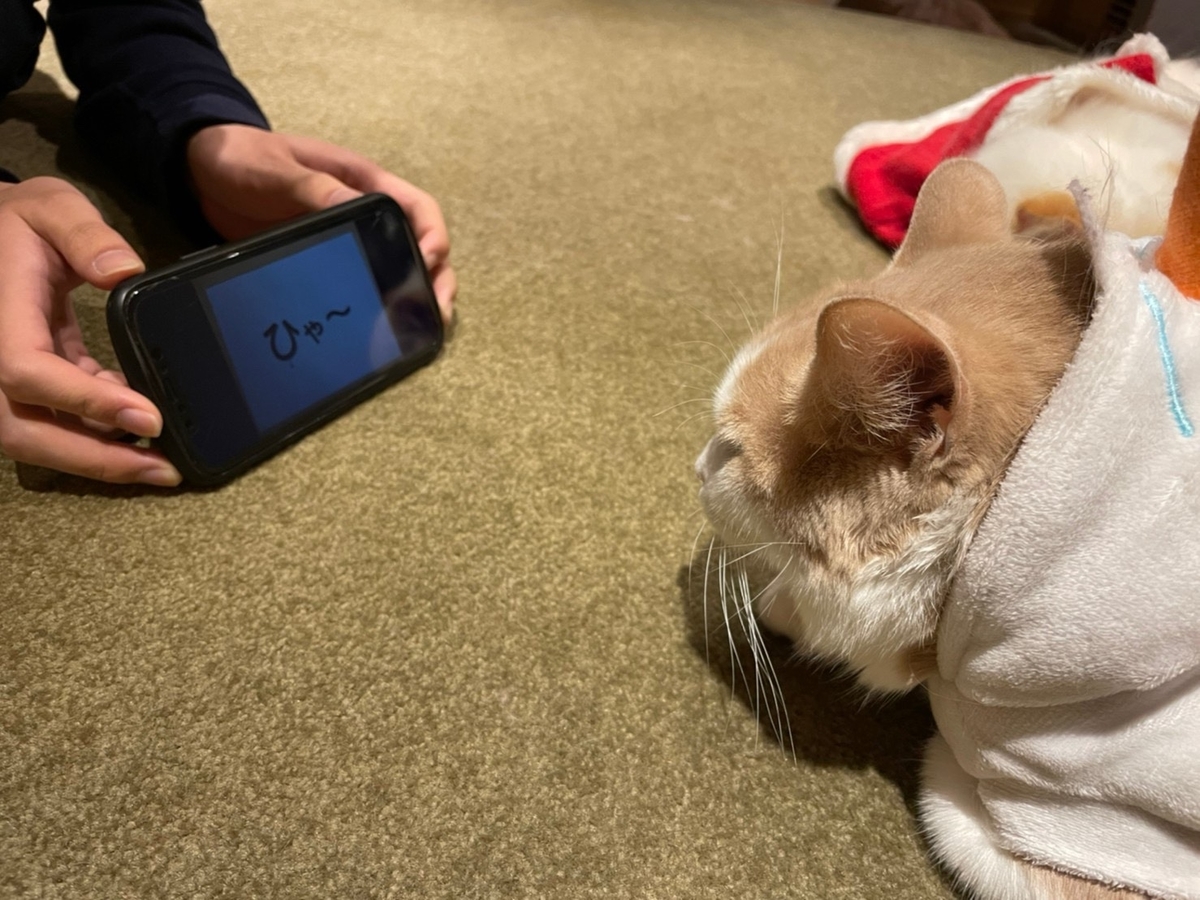 f:id:Another_Vision:20201213153057j:plain