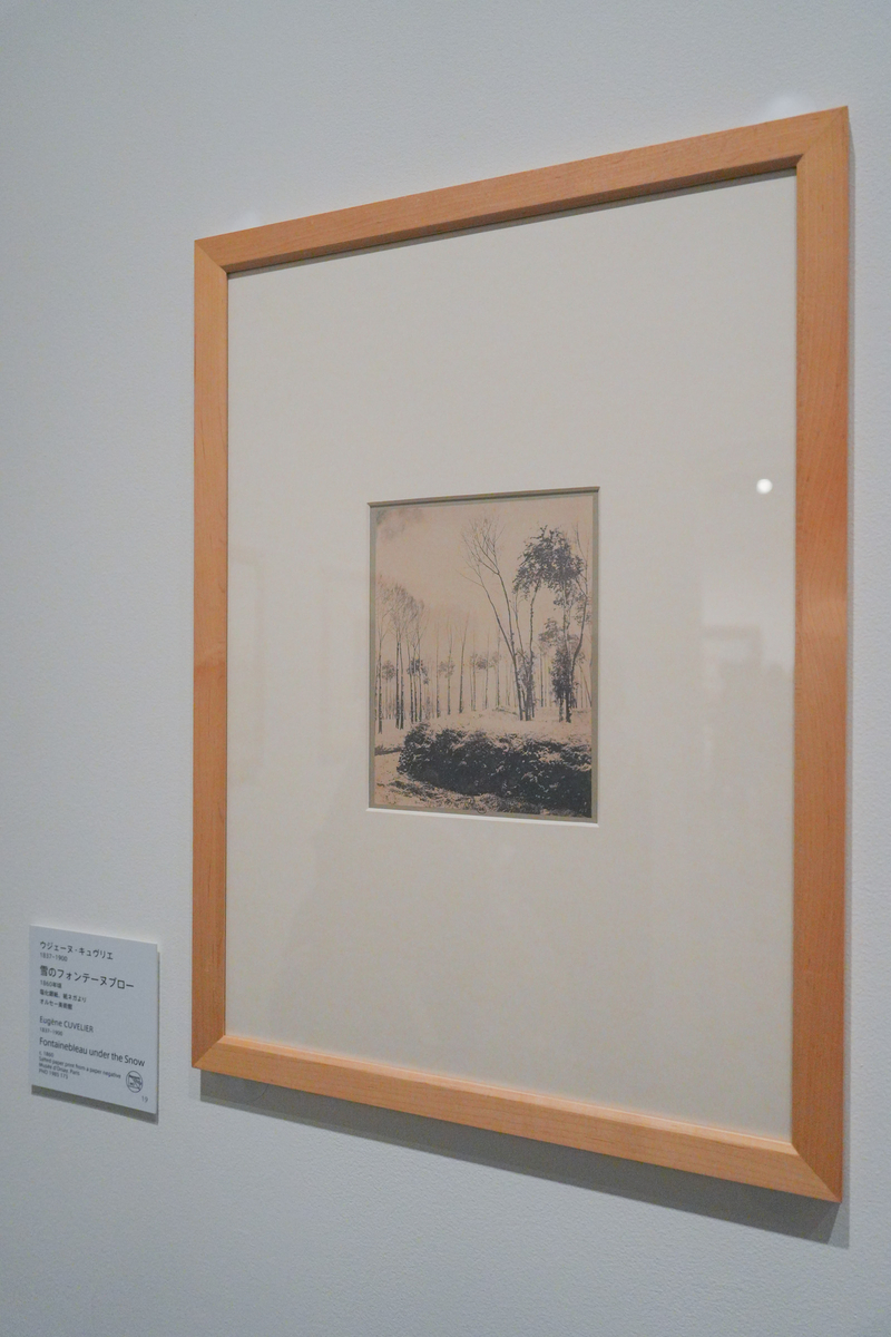 美術展レビュー】「 クロード・モネ ― 風景への問いかけ」vol.1（写真