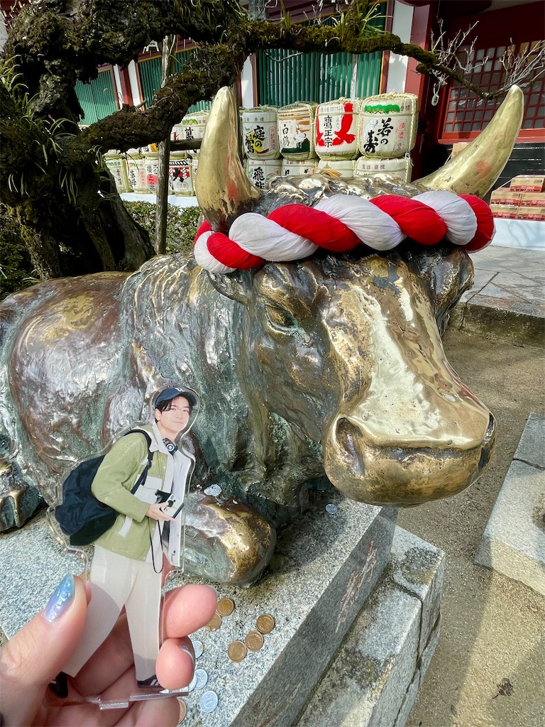 f:id:Anzu_pop:20251231170031j:image