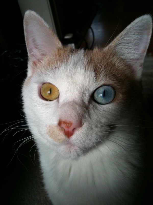20100206130534