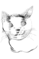 LiveSketch doodle!