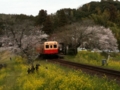 小湊鉄道萌え！