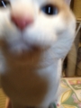メールでアップテスト