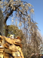 20130309153653
