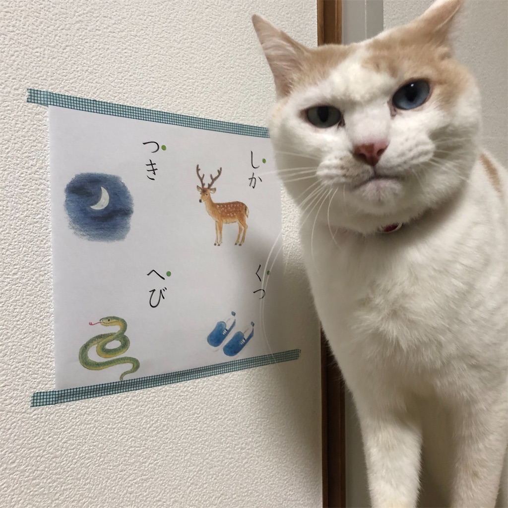 f:id:Aodrey:20200130010522j:image:w180