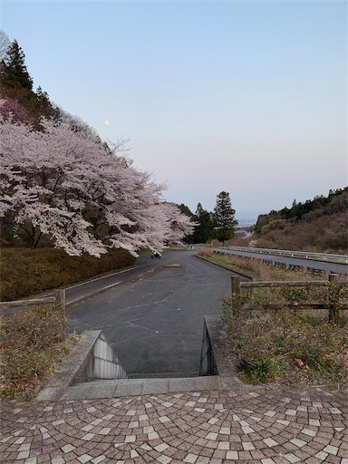 f:id:Aoi-Kazumi:20190418201040j:image