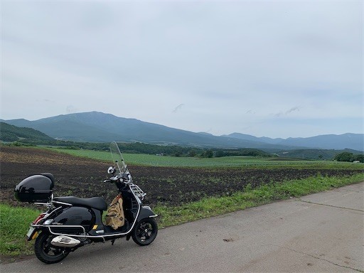 f:id:Aoi-Kazumi:20200627185745j:plain f:id:Aoi-Kazumi:20200627185745j:plain