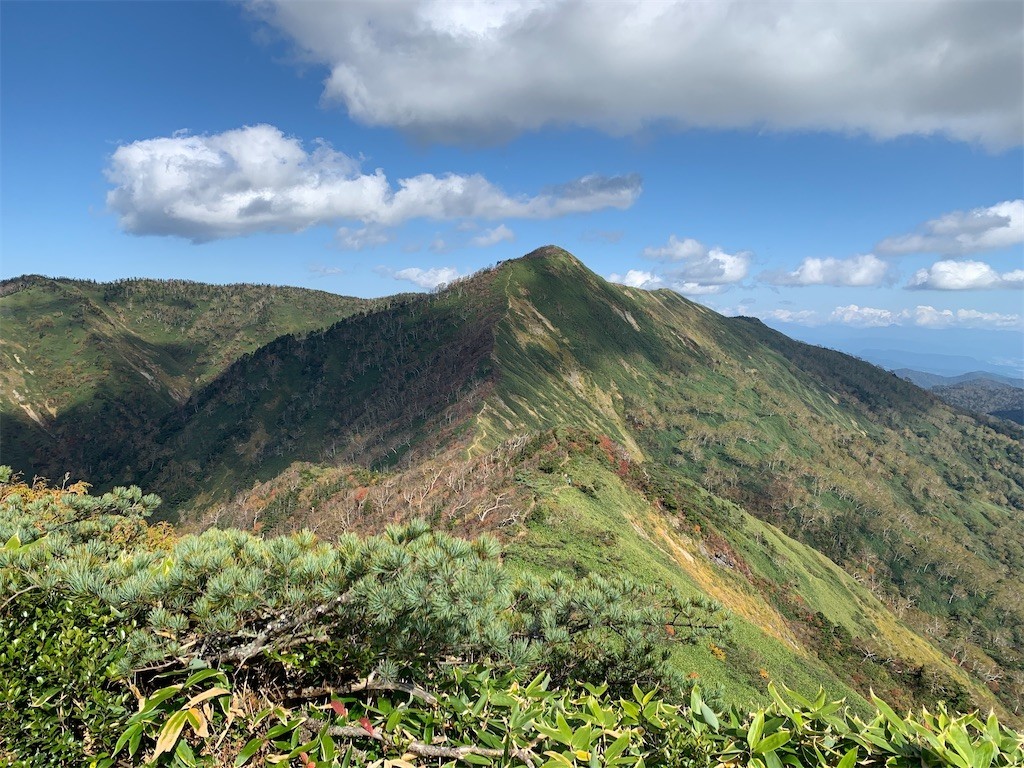 f:id:Aoi-Kazumi:20211027085133j:image