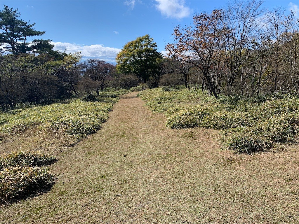 f:id:Aoi-Kazumi:20211029140631j:image