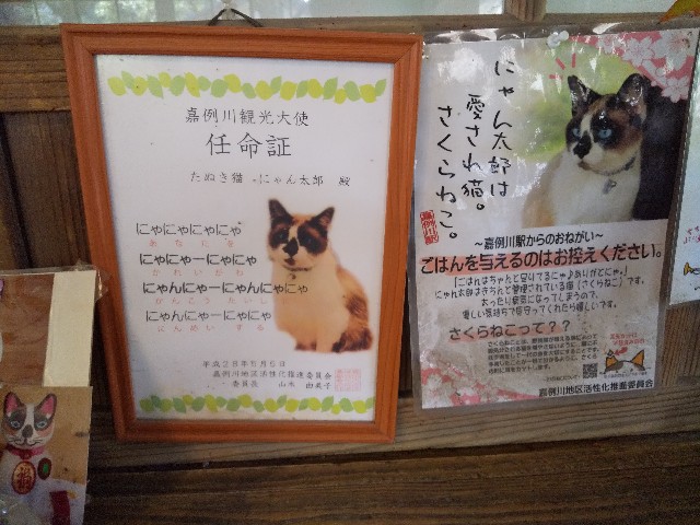 f:id:Aoi20140626:20191227201121j:image f:id:Aoi20140626:20191227201121j:image