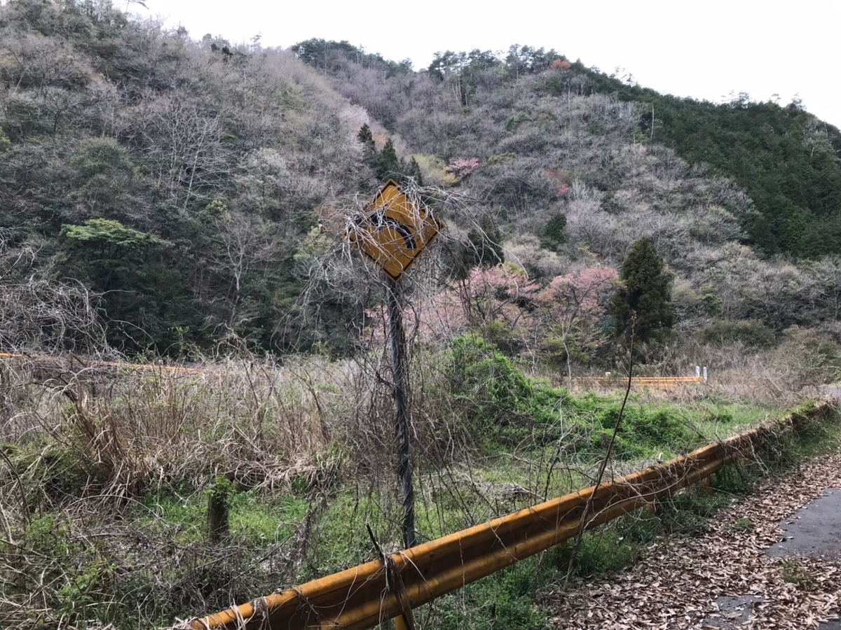 f:id:AoiHigurashi:20190417231342j:plain