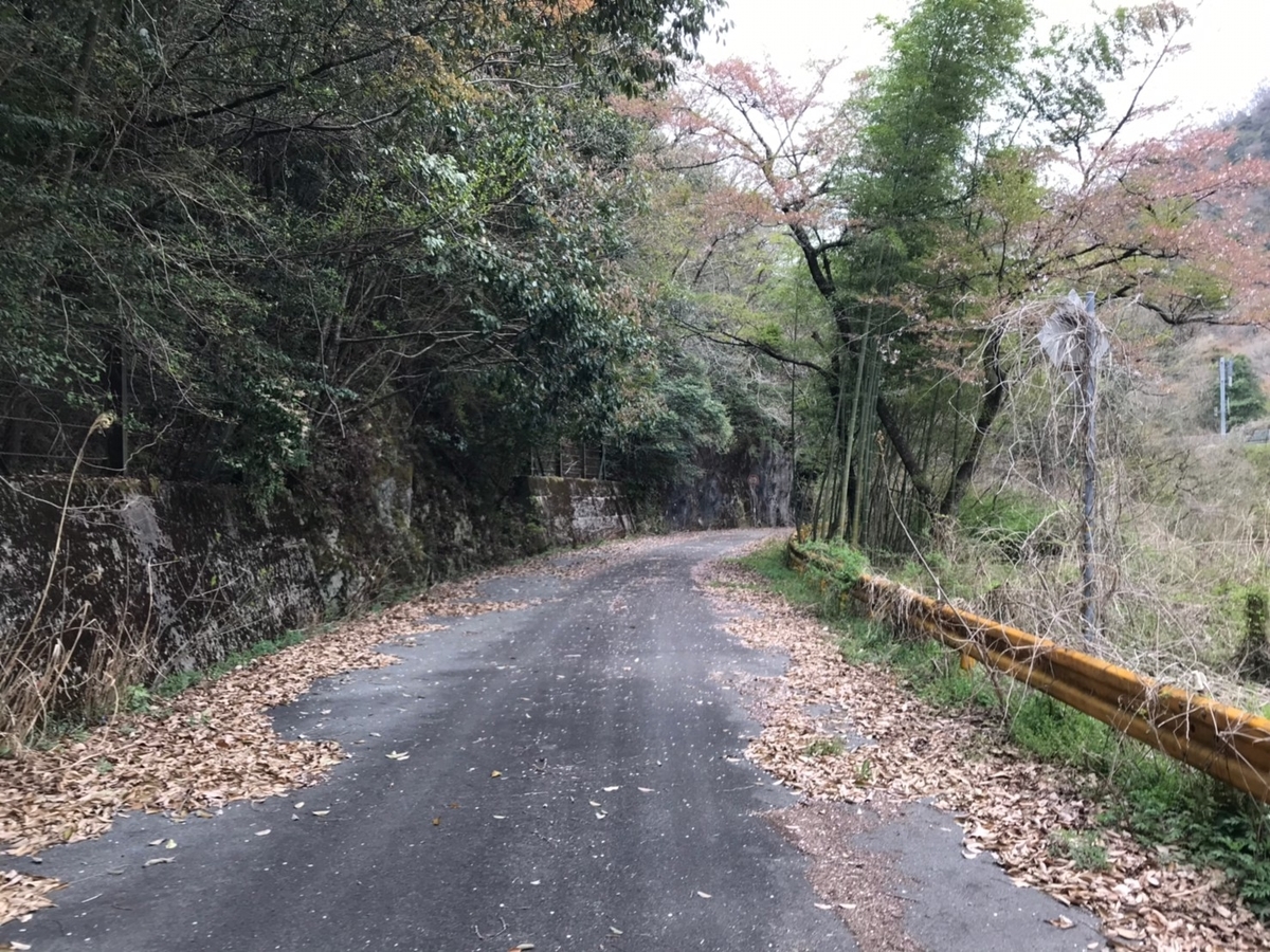 f:id:AoiHigurashi:20190417231423j:plain