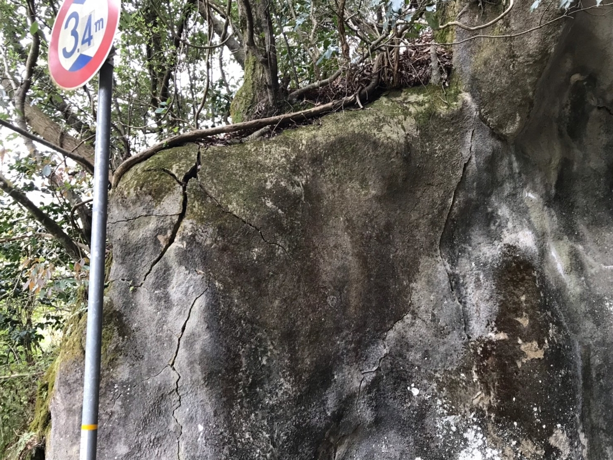f:id:AoiHigurashi:20190417234301j:plain