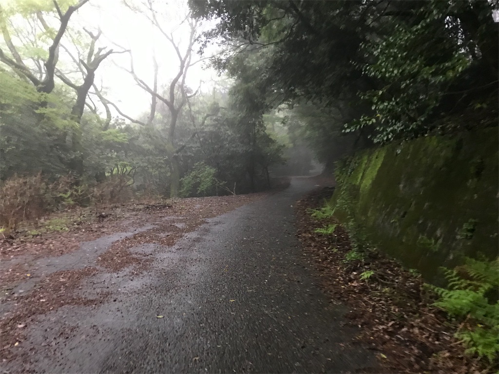 f:id:AoiHigurashi:20190509235702j:image