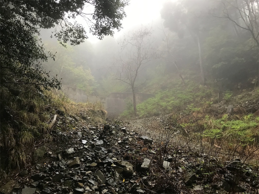 f:id:AoiHigurashi:20190509235854j:image
