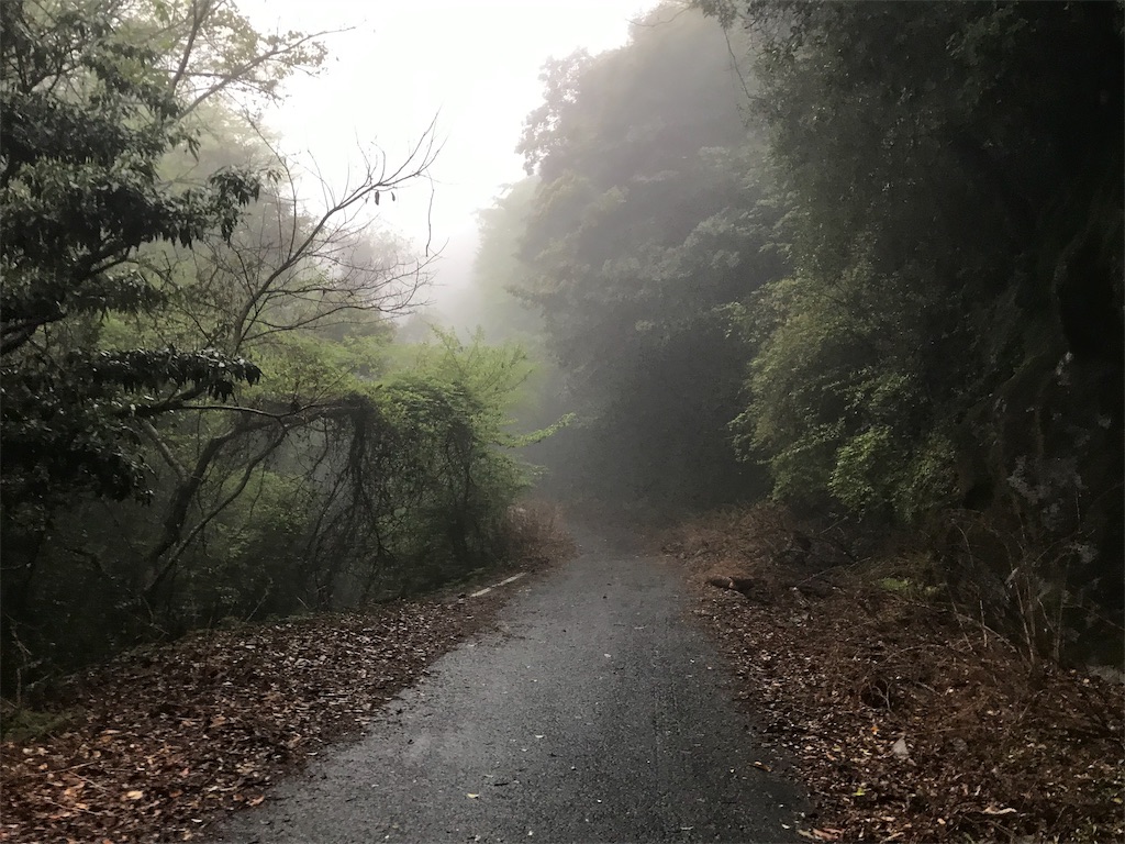 f:id:AoiHigurashi:20190509235858j:image
