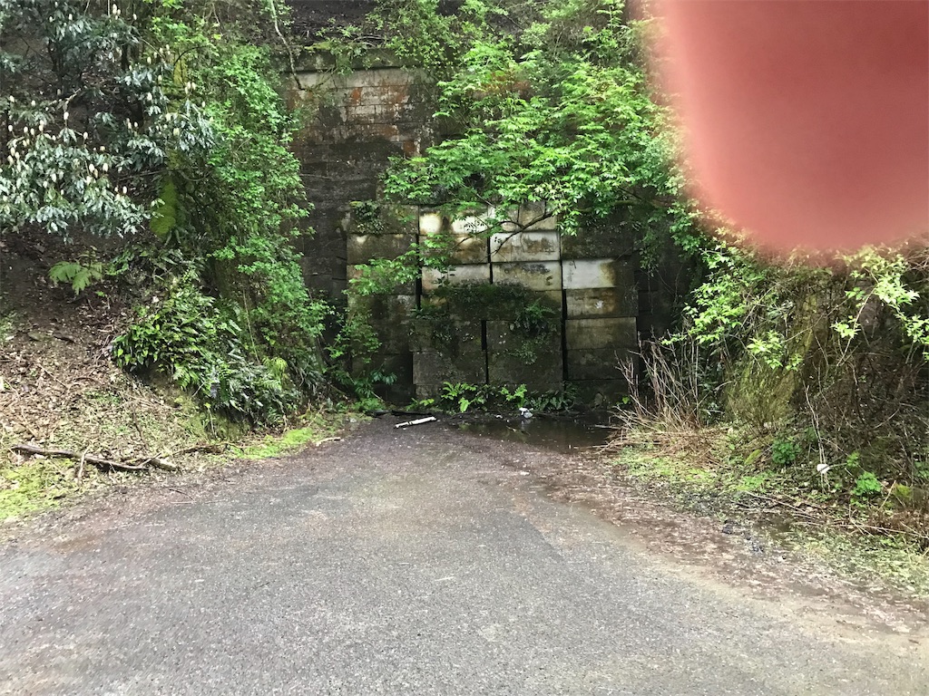 f:id:AoiHigurashi:20190510001110j:image