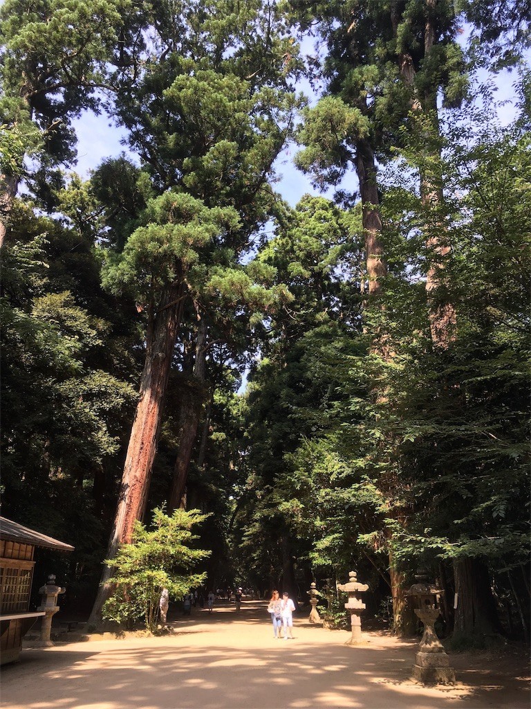 f:id:Aoi_TSK:20170717225350j:image