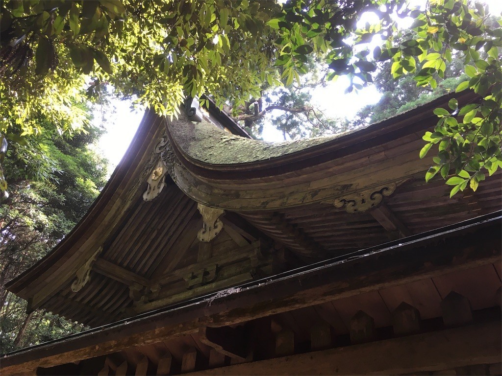 f:id:Aoi_TSK:20170717225420j:image