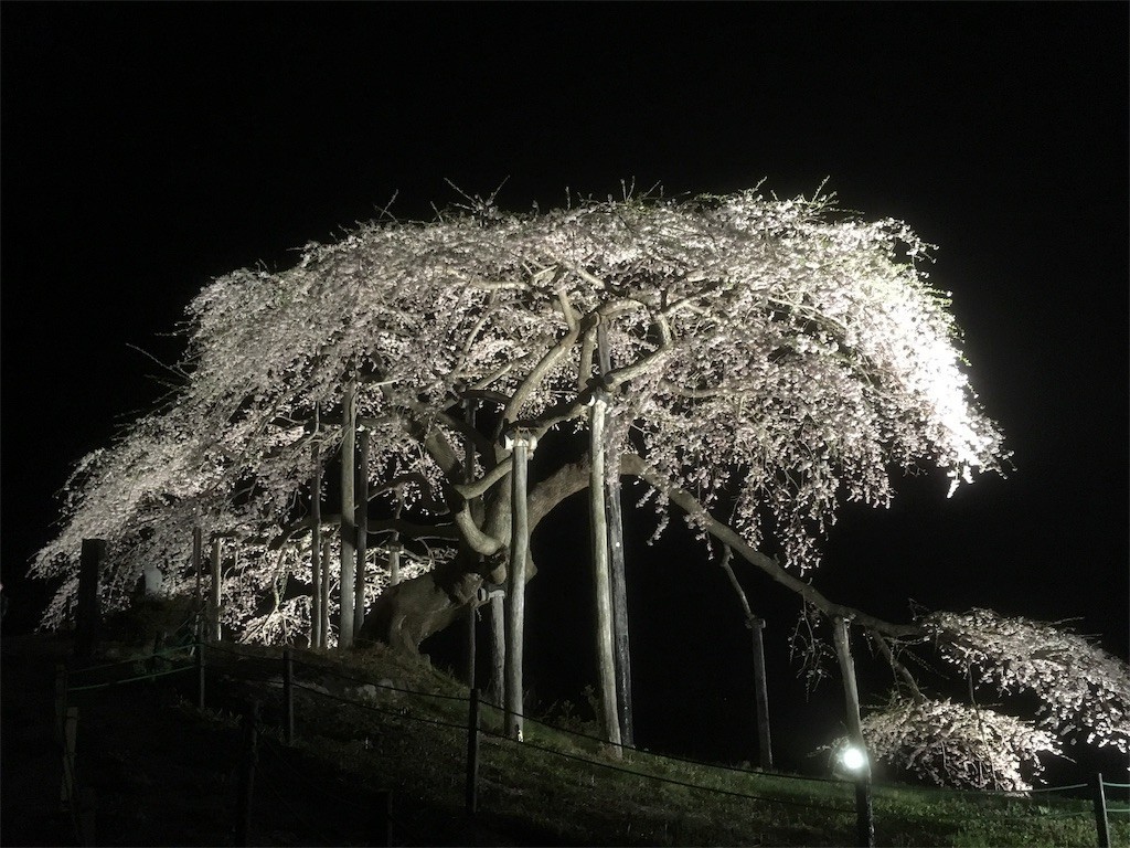 f:id:Aoi_TSK:20180407230404j:image