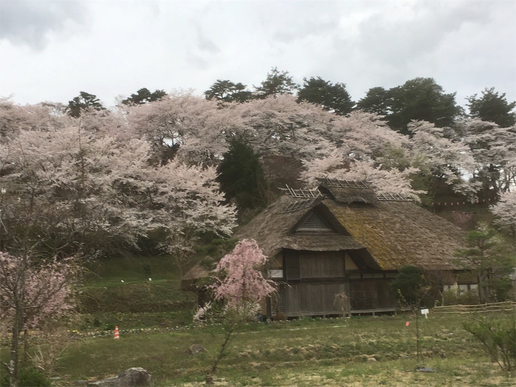 f:id:Aoi_TSK:20180407230709j:image