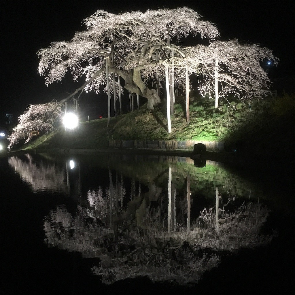 f:id:Aoi_TSK:20180407230843j:image