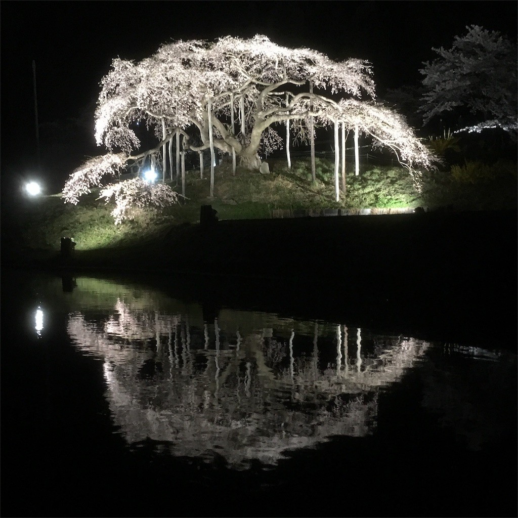 f:id:Aoi_TSK:20180407230859j:image