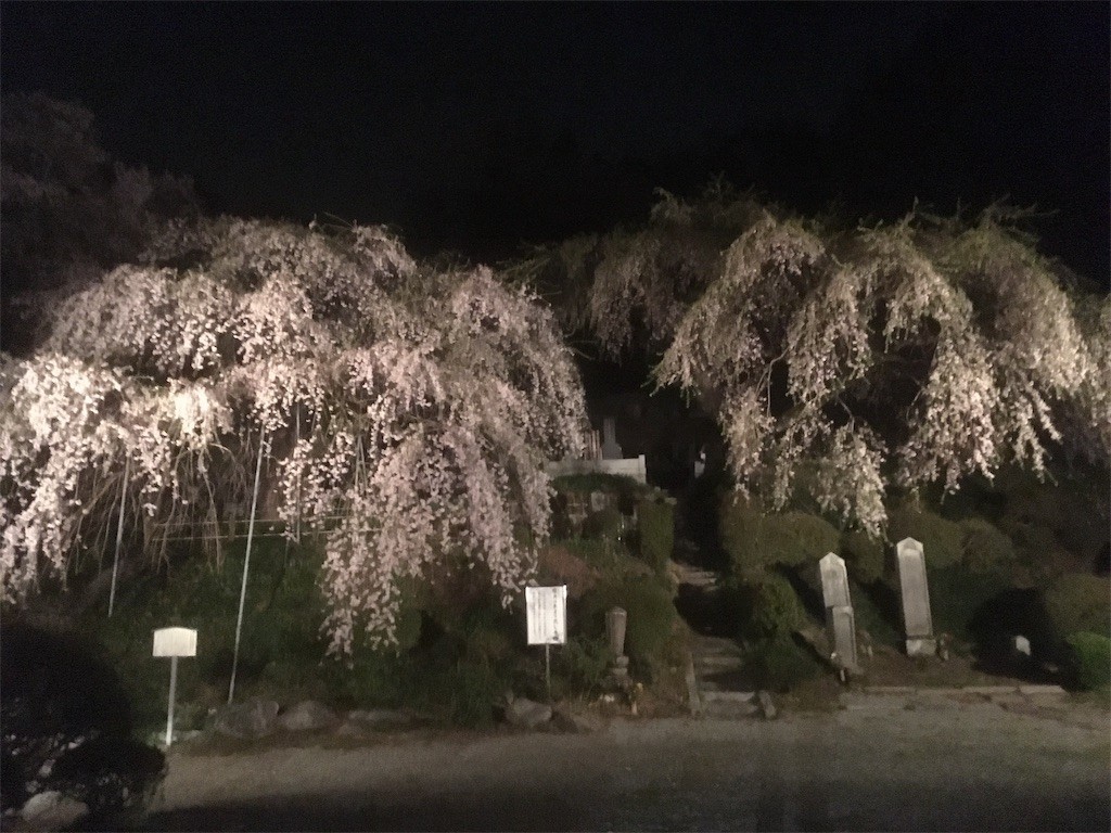 f:id:Aoi_TSK:20180407231002j:image