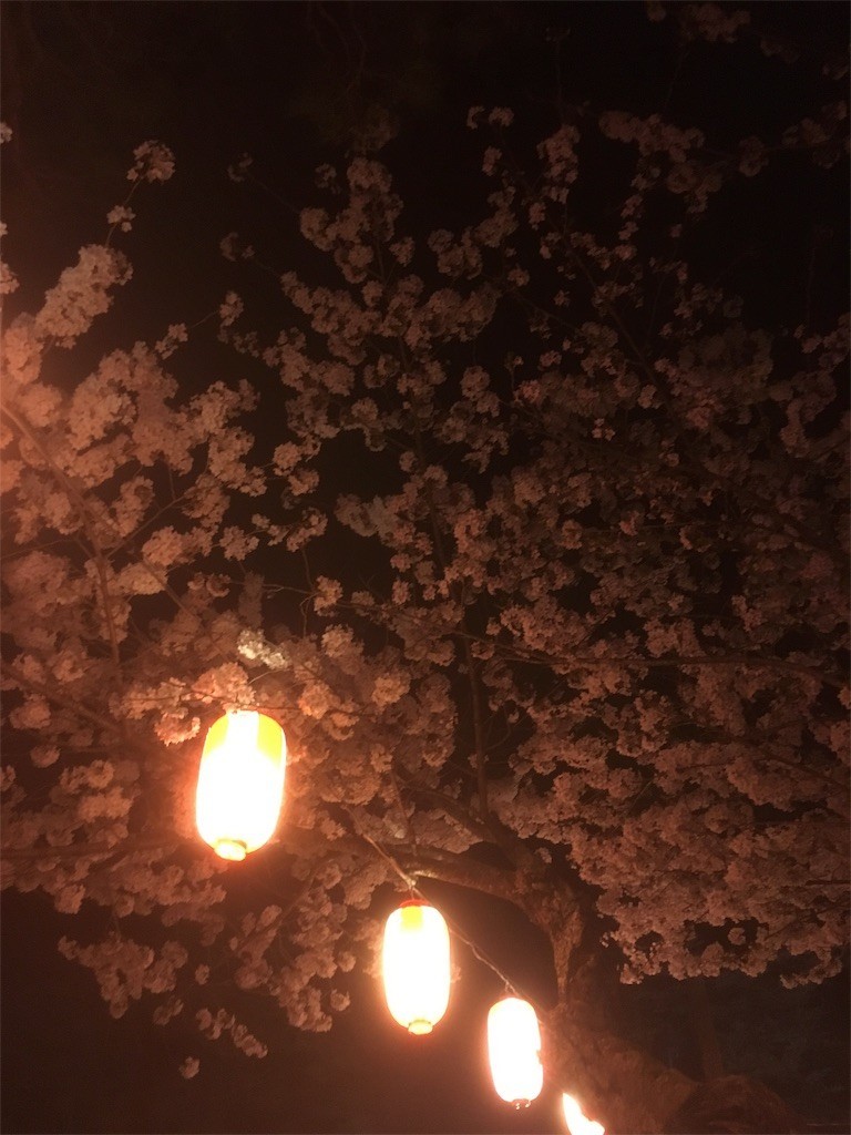 f:id:Aoi_TSK:20180407231246j:image