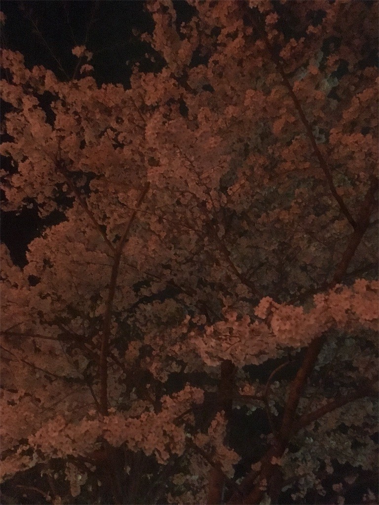 f:id:Aoi_TSK:20180407231302j:image