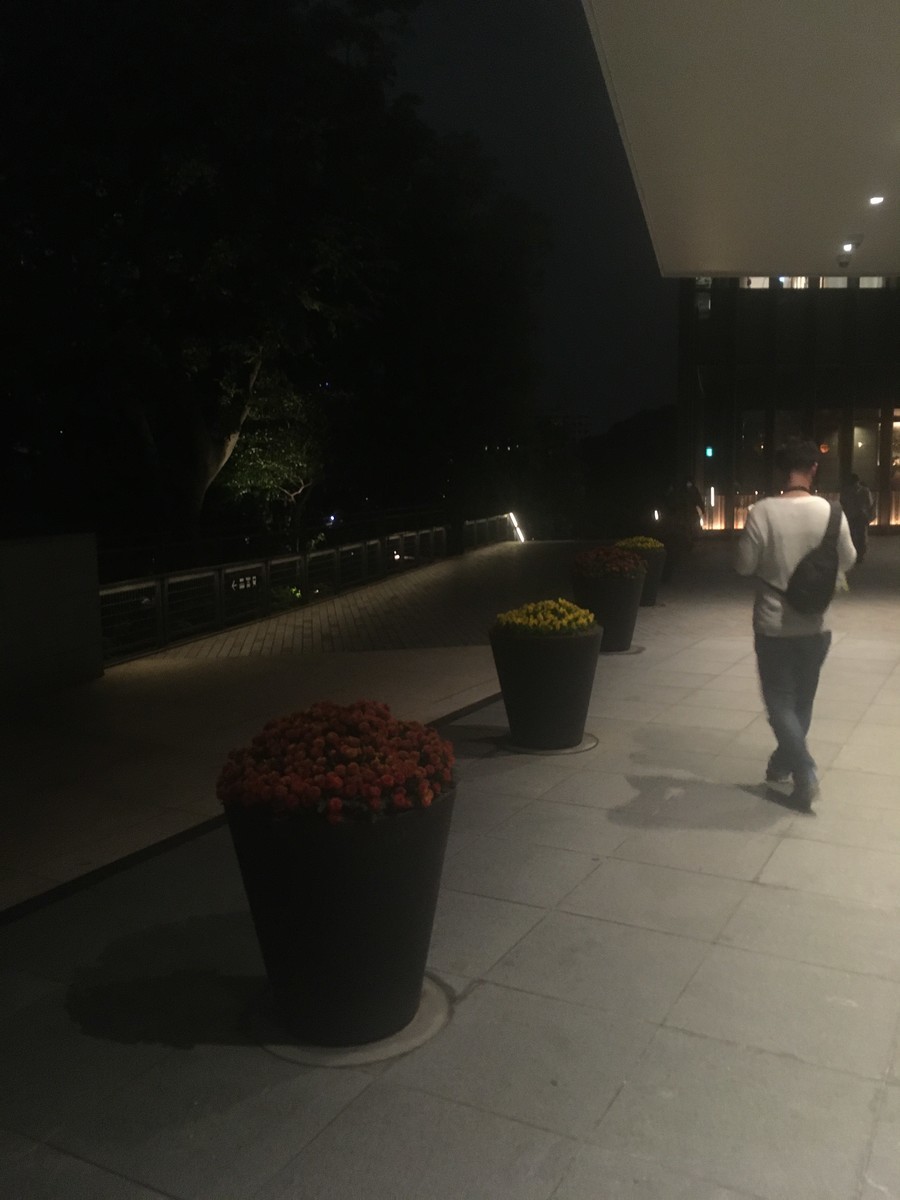 f:id:Aoi_TSK:20191102191916j:plain