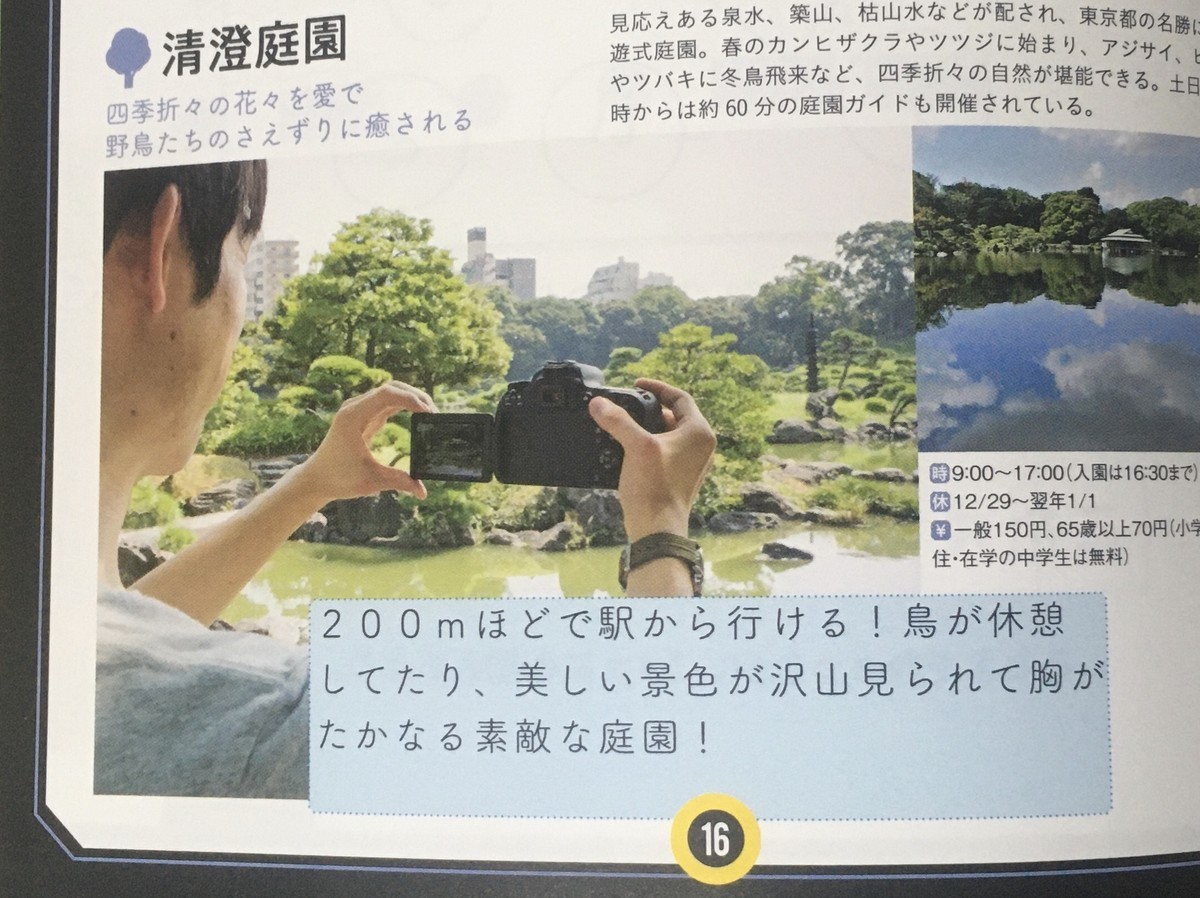 f:id:Aoi_TSK:20200412194359j:plain
