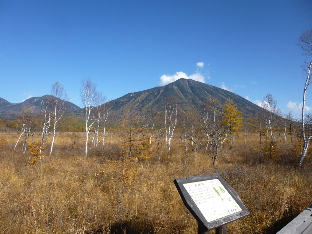 f:id:Aoituki:20181224174212j:plain f:id:Aoituki:20181224174212j:plain