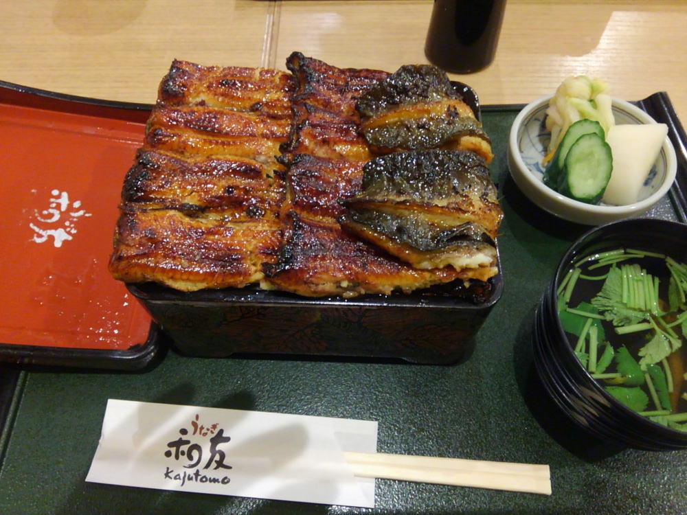 f:id:Aoituki:20190328231631j:plain f:id:Aoituki:20190328231631j:plain