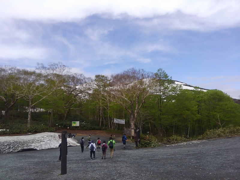 f:id:Aoituki:20190603010402j:plain