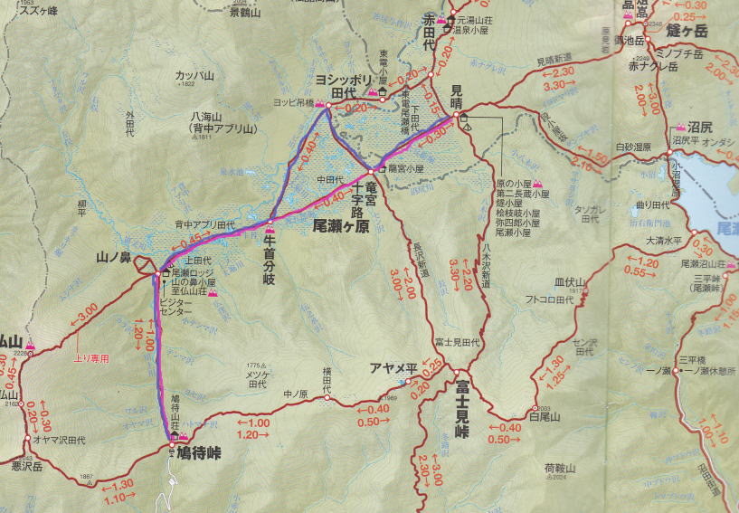 f:id:Aoituki:20190603010522j:plain